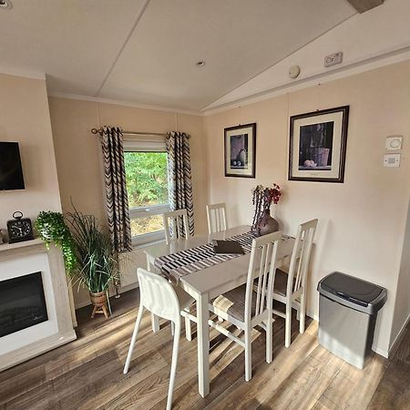 Luxe 4 Persoons Chalet Op 5 Sterren Camping Raalte Eksteriør bilde