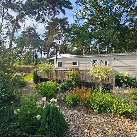 Luxe 4 Persoons Chalet Op 5 Sterren Camping Raalte Eksteriør bilde